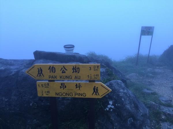 嘉日单词